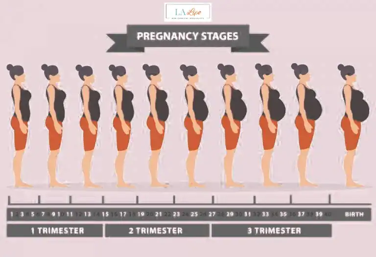 First Trimester (Weeks 1–12): Early Changes You Might Not Notice Colchester